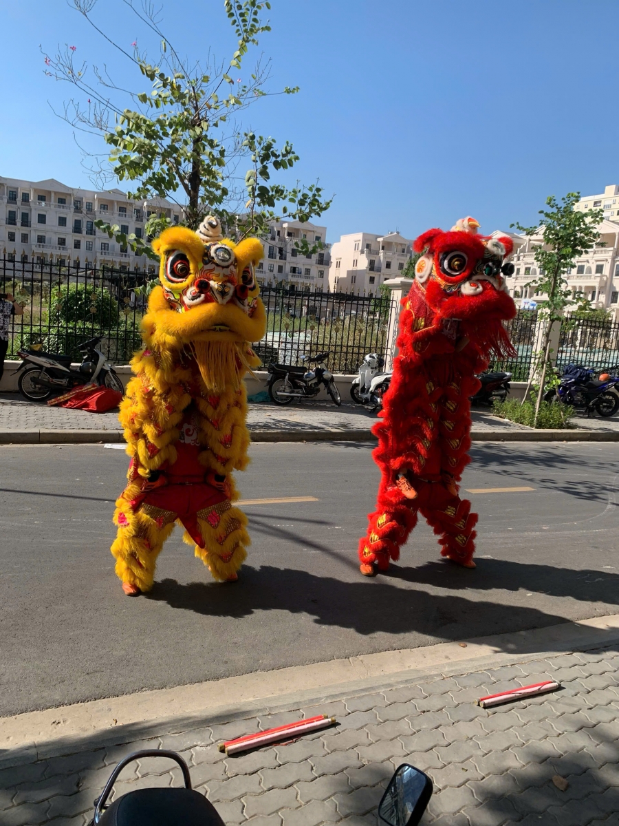 Báo Giá Chi Phí Múa Lân Khai Trương Tại Bình Phước . Ảnh 3